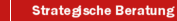 Strategische Beratung